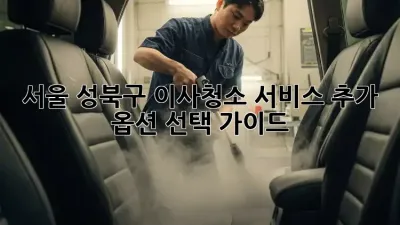 서울 성북구 이사/청소 서비스 추가 옵션 선택 가이드